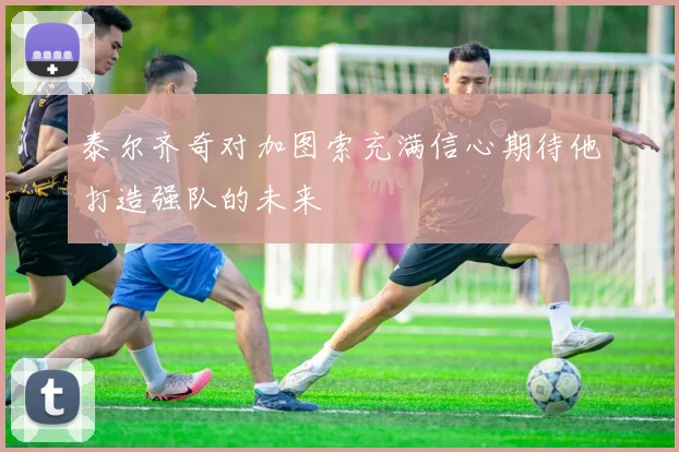 泰尔齐奇对加图索充满信心期待他打造强队的未来