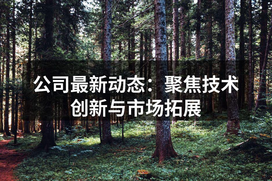 公司最新动态:聚焦技术创新与市场拓展
